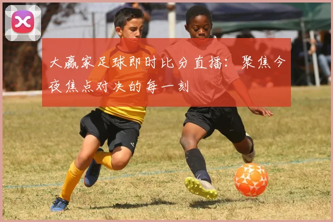 大赢家足球即时比分直播:聚焦今夜焦点对决的每一刻